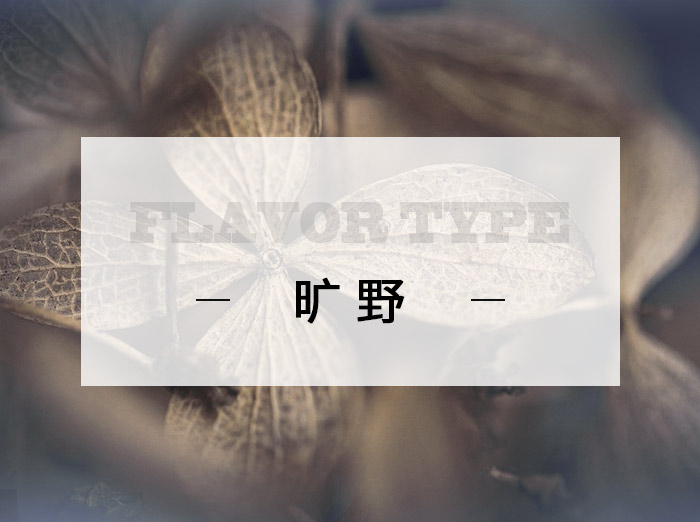 旷野/Wilderness