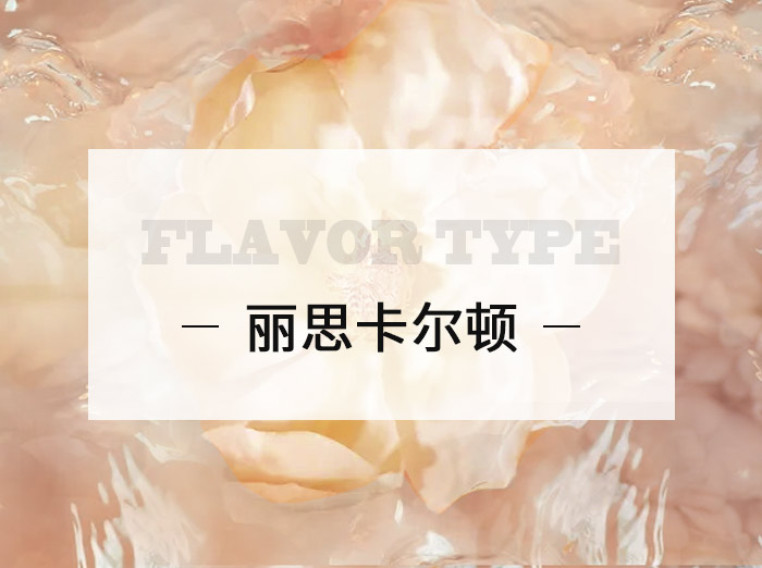 丽思卡尔顿/ Ritz Carlton