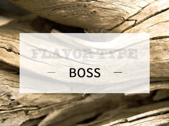 BOSS/boss