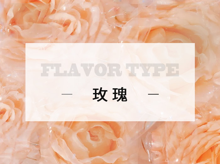 玫瑰/Rose