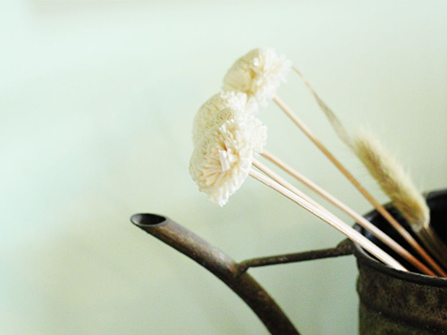 芝兰空间,香氛系统,空间香氛,香薰设备,香薰精油,香氛礼品定制