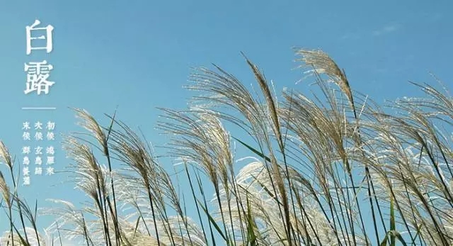 芝兰空间,香氛系统,空间香氛,香薰设备,香薰精油,香氛礼品定制 芝兰空间,香氛系统,空间香氛,香薰设备,香薰精油,香氛礼品定制
