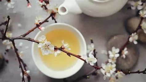 芝兰空间,香氛系统,空间香氛,香薰设备,香薰精油,香氛礼品定制