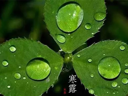 芝兰空间,香氛系统,空间香氛,香薰设备,香薰精油,香氛礼品定制