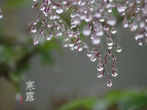 芝兰空间,香氛系统,空间香氛,香薰设备,香薰精油,香氛礼品定制