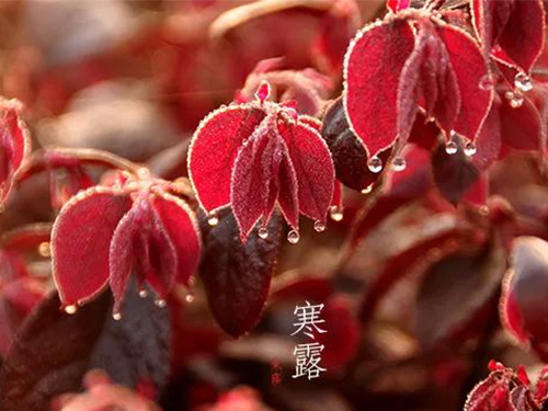 芝兰空间,香氛系统,空间香氛,香薰设备,香薰精油,香氛礼品定制