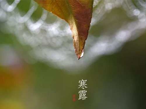 芝兰空间,香氛系统,空间香氛,香薰设备,香薰精油,香氛礼品定制