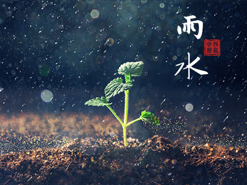 芝兰空间,香氛系统,空间香氛,香薰设备,香薰精油,香氛礼品定制
