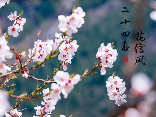 芝兰空间,香氛系统,空间香氛,香薰设备,香薰精油,香氛礼品定制