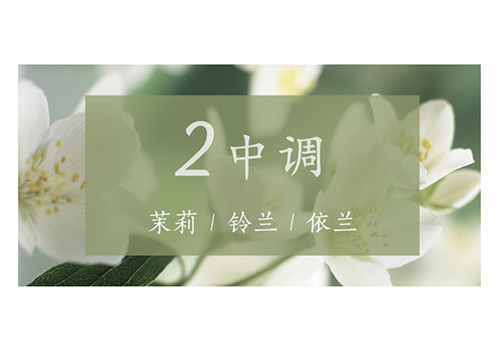 芝兰空间,香氛系统,空间香氛,香薰设备,香薰精油,香氛礼品定制