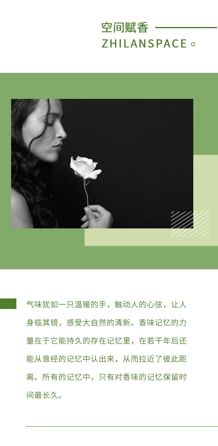 香型