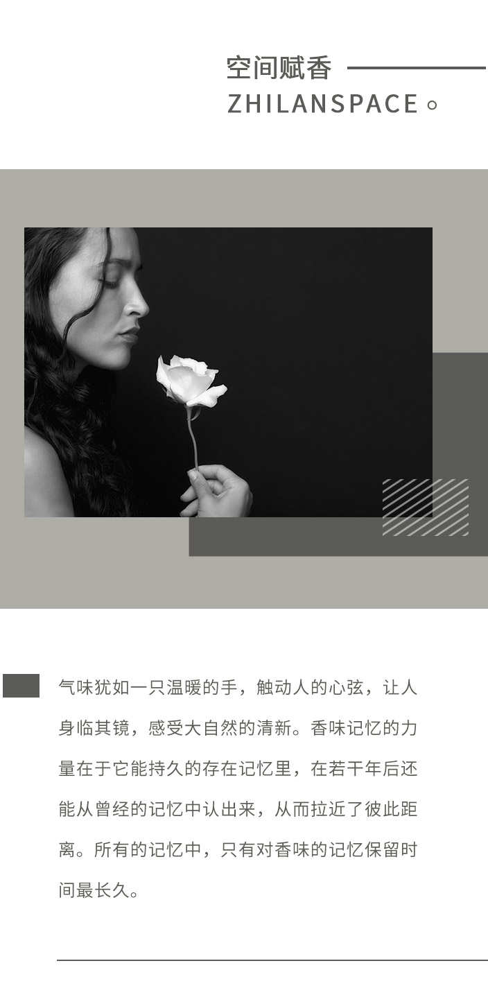 香型