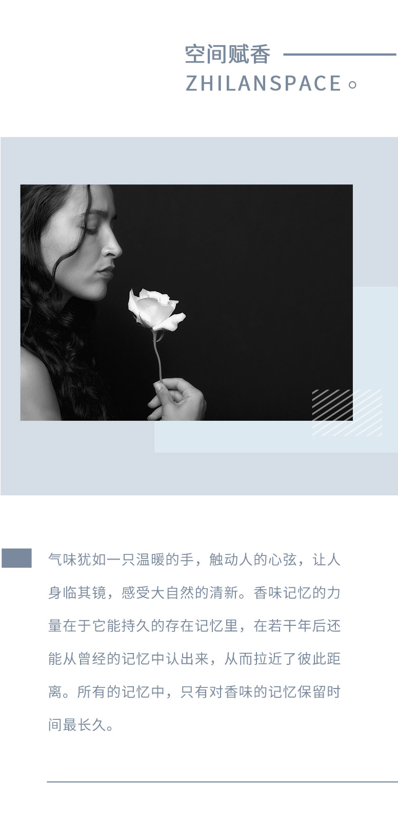 香型