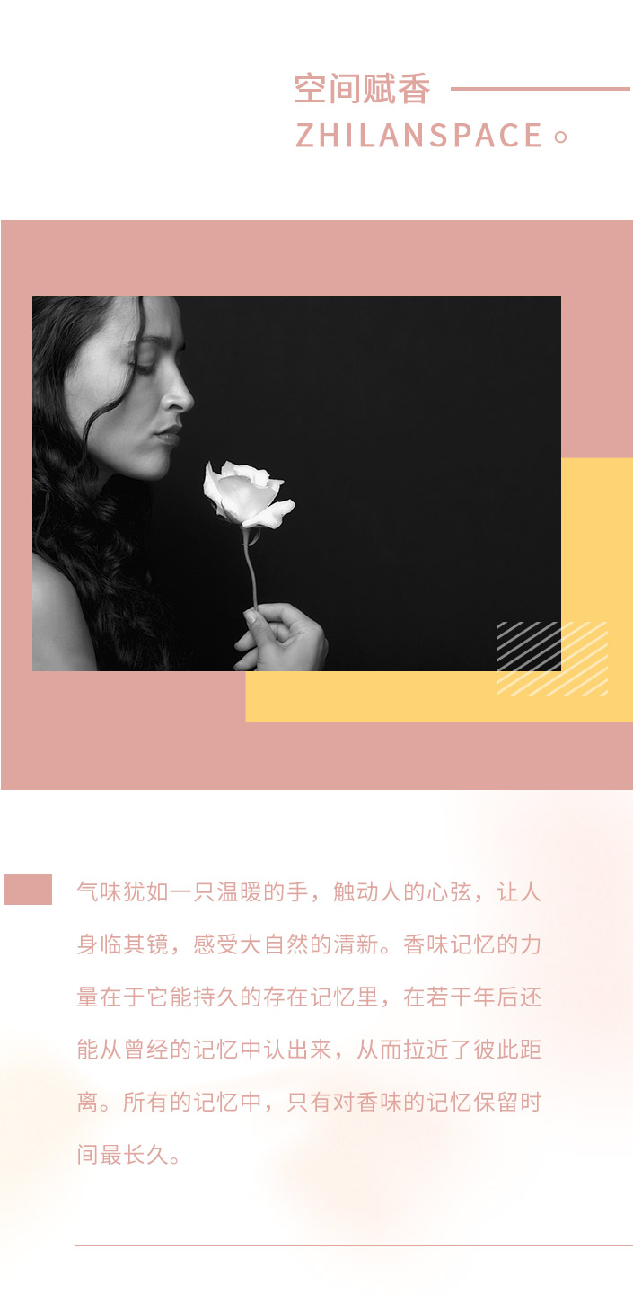 香型