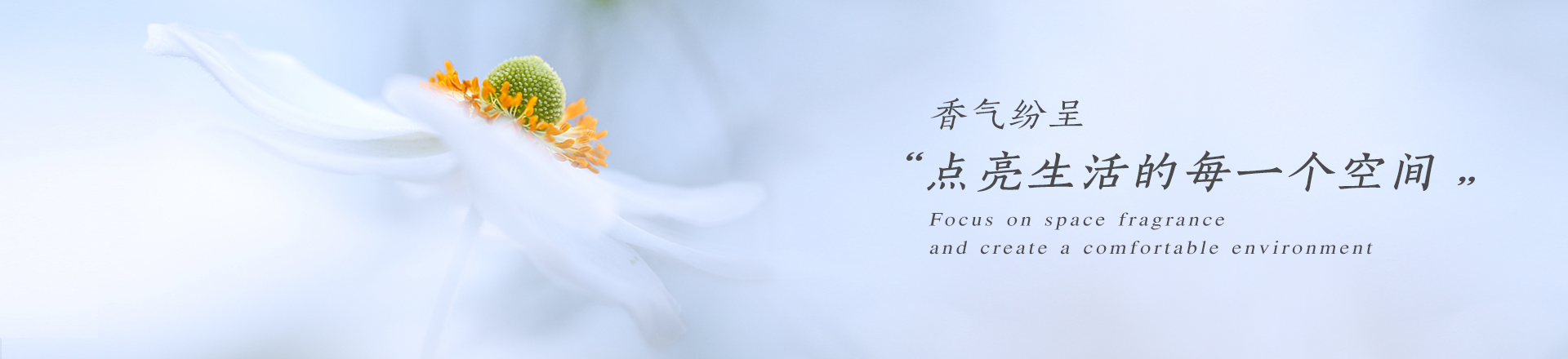 湖南芝兰空间环保科技有限公司—空间香氛|净化空间|扩香设备|香氛精油|香氛礼品定制