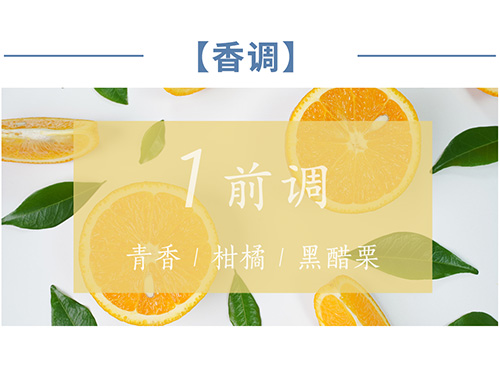 芝兰空间,香氛系统,空间香氛,香薰设备,香薰精油,香氛礼品定制