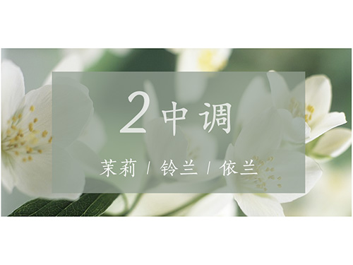芝兰空间,香氛系统,空间香氛,香薰设备,香薰精油,香氛礼品定制