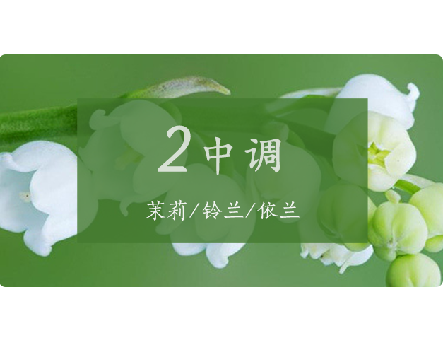 芝兰空间,香氛系统,空间香氛,香薰设备,香薰精油,香氛礼品定制
