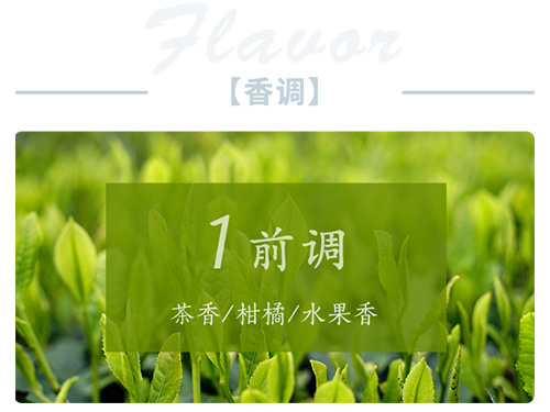 芝兰空间,香氛系统,空间香氛,香薰设备,香薰精油,香氛礼品定制