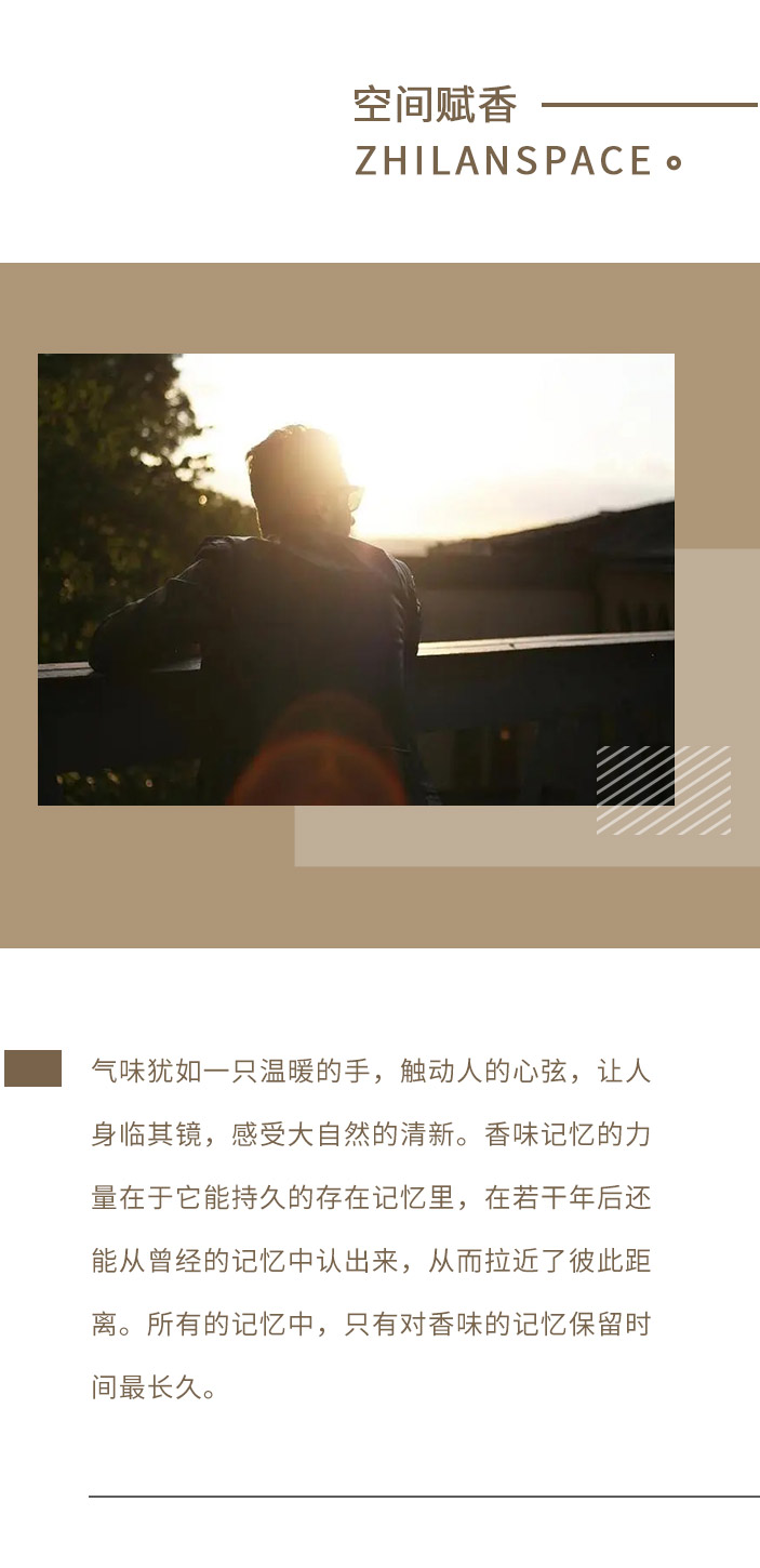 香型