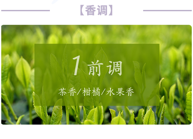 芝兰空间,香氛系统,空间香氛,香薰设备,香薰精油,香氛礼品定制
