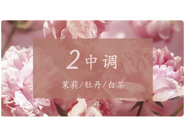 芝兰空间,香氛系统,空间香氛,香薰设备,香薰精油,香氛礼品定制