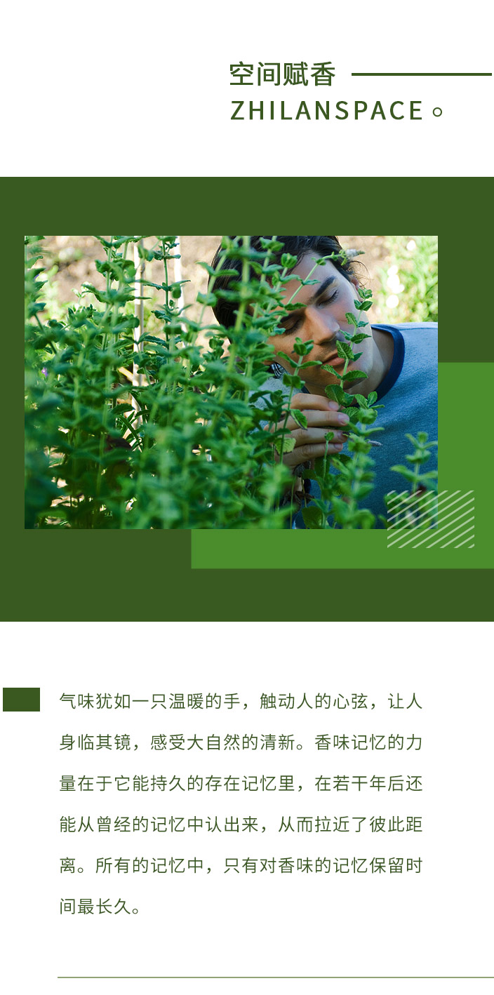 香型
