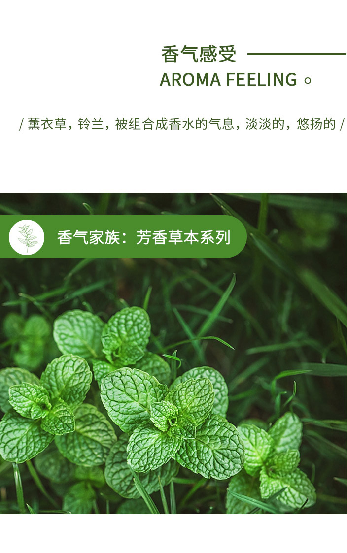 香型