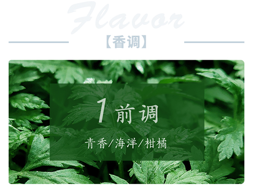 芝兰空间,香氛系统,空间香氛,香薰设备,香薰精油,香氛礼品定制