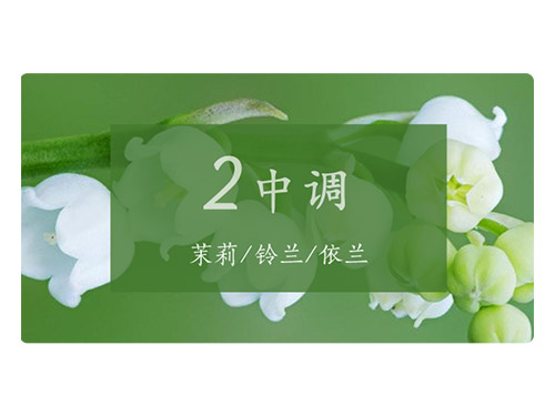 芝兰空间,香氛系统,空间香氛,香薰设备,香薰精油,香氛礼品定制 芝兰空间,香氛系统,空间香氛,香薰设备,香薰精油,香氛礼品定制